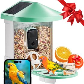 VEVOR Smart Bird Feeder with Camera 2K HD AI Identify Bird Species Solar-Powered (Color: Green, Solar Panel Style: 2 Panels on Roof Side)
